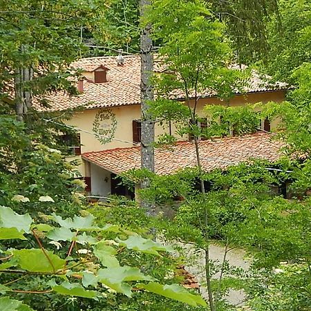 Agriturismo Fonte Magria Abbadia San Salvator Exteriér fotografie