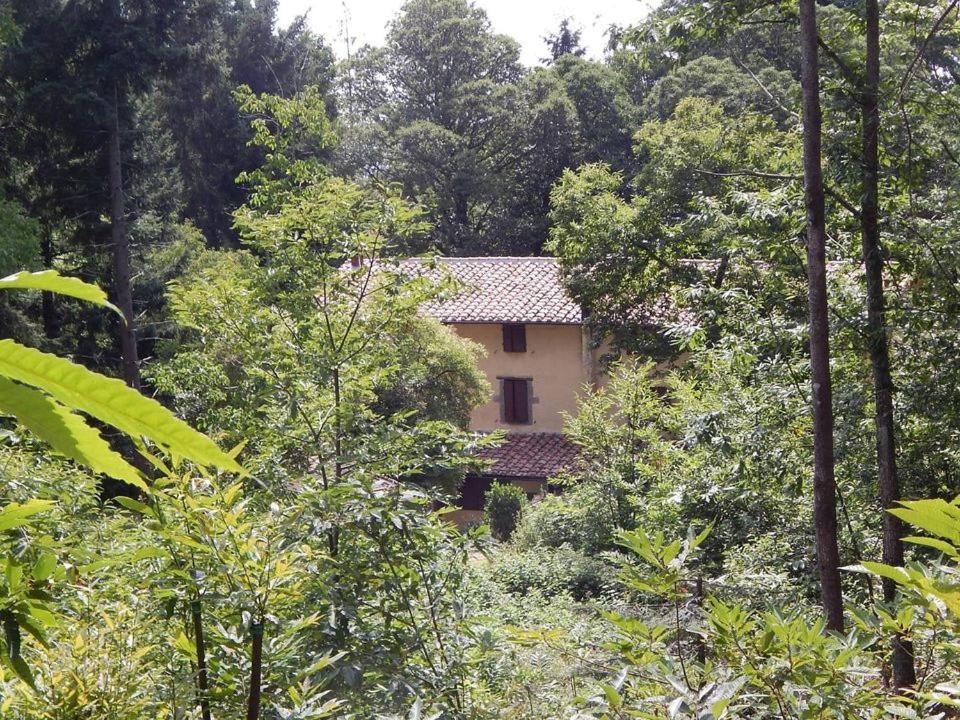Agriturismo Fonte Magria Abbadia San Salvator Exteriér fotografie